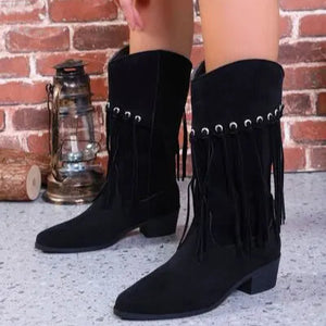 Fringe Suede Point Toe Block Heel Boots Trendsi