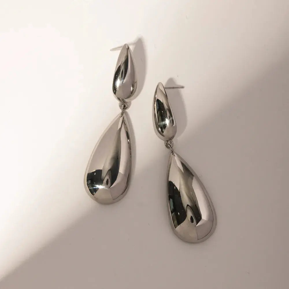 Stainless Steel Dangle Earrings Trendsi
