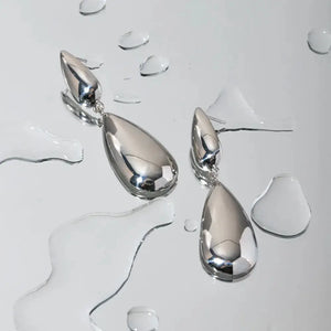 Stainless Steel Dangle Earrings Trendsi